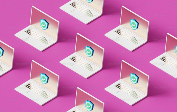 네트워크 분산 이미지